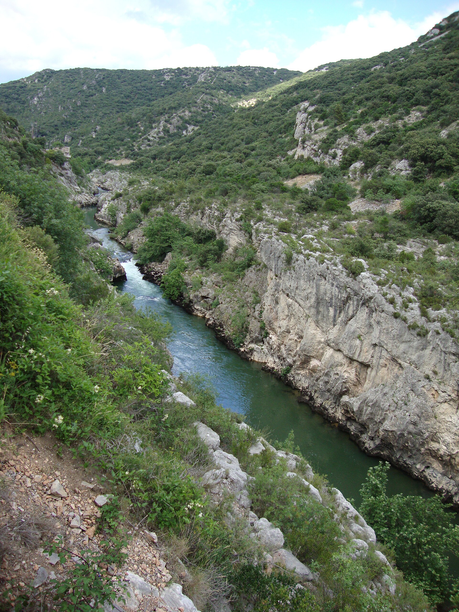 L'Hérault émeraude dans les gorges