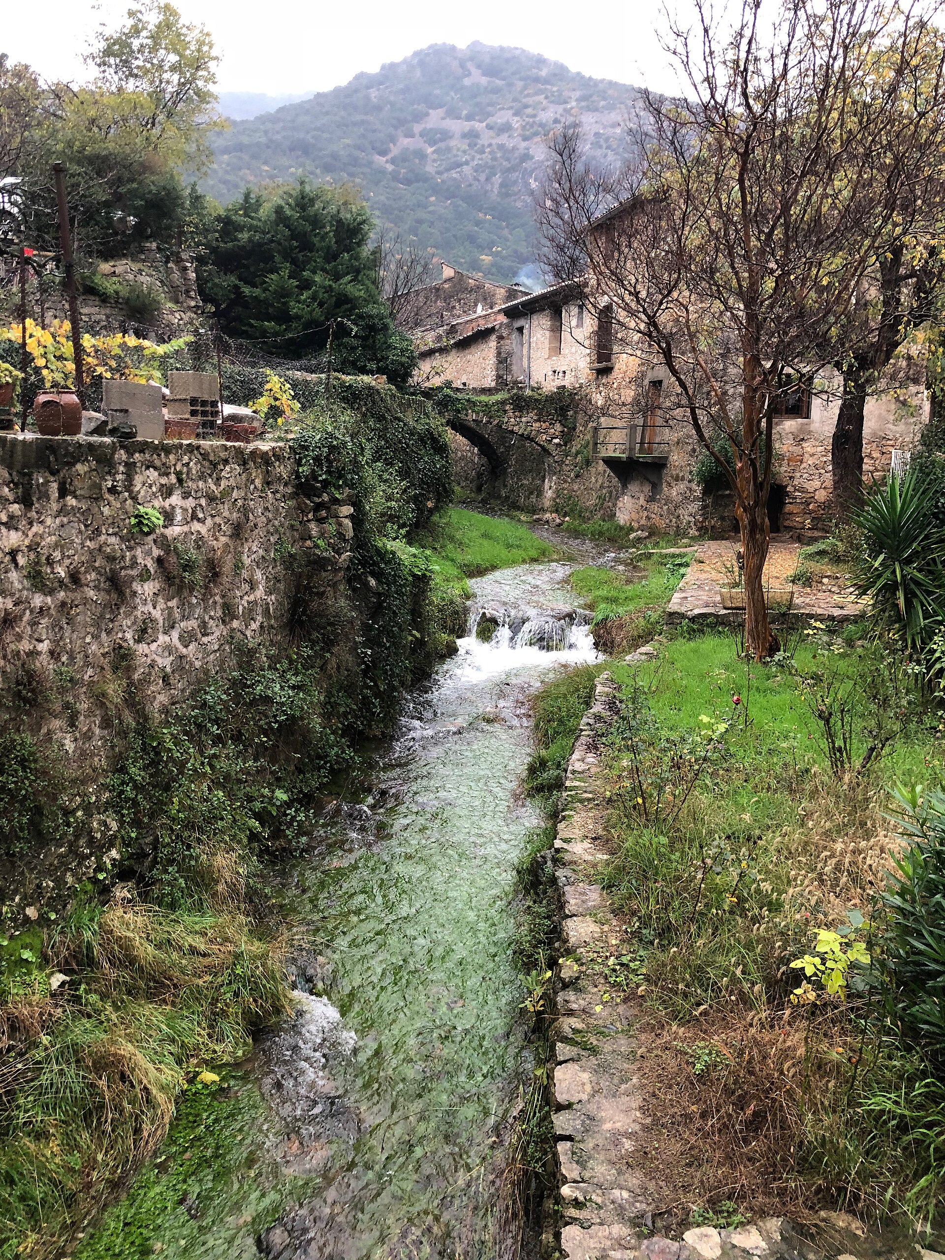 Le village dans la verdure du vallon